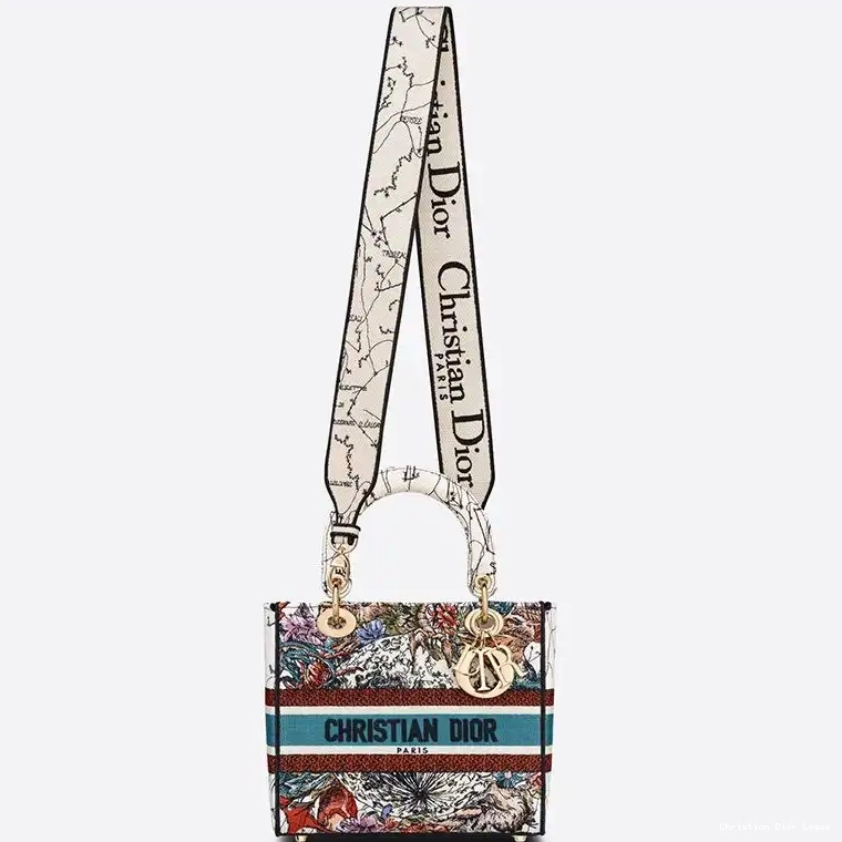 Cheap Bag Lady Motif Constellation Canvas White D-lite Medium 0619 Luxury